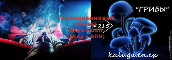 a pvp Богородицк