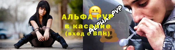 ECSTASY Богородск