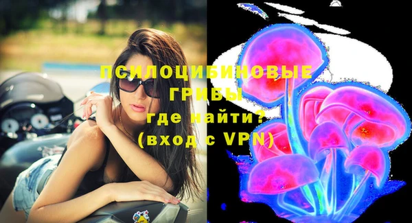ECSTASY Богородск
