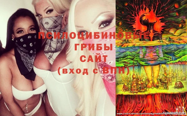ECSTASY Богородск
